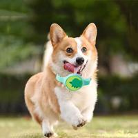 Collar ajustable para perros y gatos, antiparasitario, duradero, Natural, calmante, antipulgas y garrapatas, reductor de ansiedad, collares seguros para mosquitos para mascotas - details 7