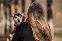 ATUBAN Small Pet Dog Helmet with Ear Hole Motorcycle Dog Helmet Multi-Sport Dog Hard Hat Outdoor Bike Doggy Cap for Dogs and Cat - details 9