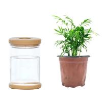 Florero de plástico hidropónico transparente, maceta de estilo Simple, arreglo wer, adorno de mesa de ración para el hogar - details 3