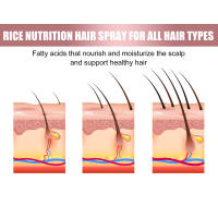 Spray de arroz para el cuero cabelludo fuerte, suave, nutritivo, brillante, hidratante, cuidado del cabello - details 4