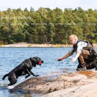 Nuevo dispositivo para perros con control remoto, collar de entrenamiento para mascotas resistente al agua con parada automática de ladridos, 1 unidad. - details 17