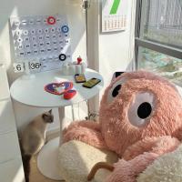 Almohada de Peluche Suave de Coal Negro con Patas Largas y Diseño de Dibujos Animados para Sofá de Casa y Cama de Coche Regalo de Anime - details 50