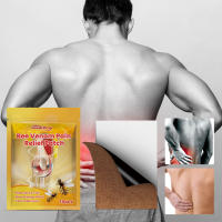 Adhesivo para el cuidado del veneno de abeja para aliviar el dolor muscular de la columna lumbar, la rodilla, el dolor muscular, el cuidado de las articulaciones - details 1