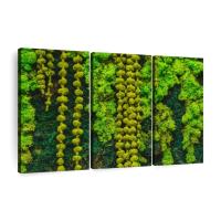 Plantas verdes artificiales, césped de musgo eterno para el hogar, jardín, decoración - details 13