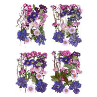 Flores secas, planta Natural Real, flor prensada para relleno de resina epoxi, manualidades para decoración de uñas, artesanía para hacer joyas - details 5