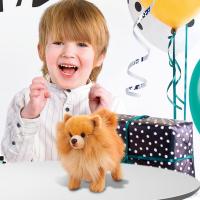 Cachorro de Felpa, Pomerania Linda, simulación de pomerán, Animal Pomerano, perro realista, Pelio - details 2