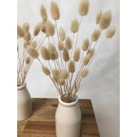 Ramo de Flores Secas de Cola de Conejo 50pcs Ideal para Decoración de Boda, Fiesta, Navidad - details 2