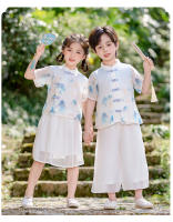 Hanfu Primavera/Verano Estilo infantil Cultura tradicional china Étnico Tang Niños Elegantes Niñas Guzheng Danza Actuación - details 7