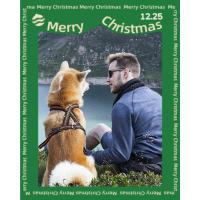 Morpilot Mochila para Gatos Perros Pequeños, 7 kg, Plegable con Correa de Seguridad Interior y Carcasa - details 5