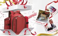 apollo walker Mochila de picnic para 4 personas Hamper Cooler Bag con Juego de Mesa y Manta - details 0
