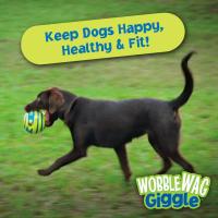 Pelota Interactiva para Mascotas Wobble Wag Giggle Glow Sonidos de Risas al Rollo o Agitado - details 7