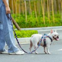 Correa para Mascotas TRUELOVE con Asa Acolchada de Neopreno Control de Tráfico Fuerte y Fácil de Usar Viaje para Perro y Gato TLL3112 - details 14