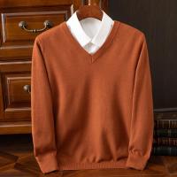 Suéter grueso de Cachemira para Hombre, ropa clásica cálida con cuello en V, Jersey de otoño e invierno, 4XL - details 21