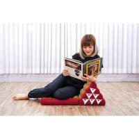 Cómodo Colchón De Suelo con Cojín De Lectura, Futón Japonés, Cama Plegable O Esterilla De Masaje Tailandés, 170 x 53 cm, Azul Claro - details 409