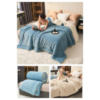 Manta de felpa de cordero grueso de doble capa, forro polar de felpa a cuadros para cama, sofá, manta de lana de Coral suave y cálida, mantas de invierno - details 13
