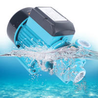 Bomba de agua Industrial de 220V, 370W, 2850rpm, refuerzo Circular de riego de jardín, color azul, robusta y duradera, 21,5x12x15,5 Cm - details 1