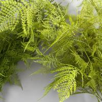 Ramas de plantas de helecho artificiales grandes, tacto Real, hojas de helecho de Boston hechas a mano, helecho de espárragos Artificial elegante realista - details 17