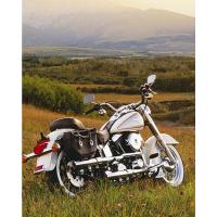 funda moto scooter
