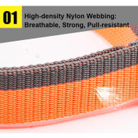 Collar de Perro Truelove de Nailon para Cachorros Medianos y Grandes Cinturón de Entrenamiento Caminata Ligero Transpirable Correr en Naranja y Negro TLC5171 - details 1