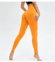 Leggings de Yoga de Cintura Alta Pantalones Deportivos de Nylon Transpirables Secado Rápido - details 31