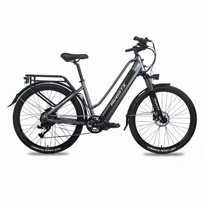 Bicicleta eléctrica Hedatx TXC10 350w 48v 19,2h 48km/h hombre/mujer gris - 1