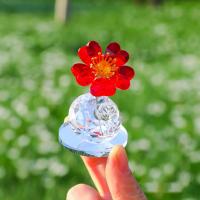 Estatua de flor de cristal de la serie de plantas simples, estatuilla exquisita, decoración de mesa, adorno de coche hecho a mano en 3D, decoración del hogar - details 4