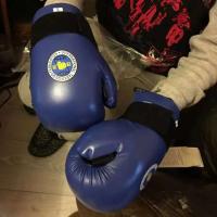 1 Juego de protectores de tobillo y pie para Taekwondo, protectores de manos, guantes para botas Kickbo, equipo de combate para artes marciales ITF, Karate - details 2