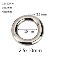 Pendientes de aro de titanio ASTM G23, Piercing corporal Labret sin costuras, segmento con bisagras, anillos de Nariz de gran tamaño, 10G-6G, 2,5mm-4mm, 1 unidad - details 2