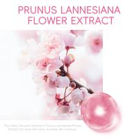 Crema de Ojos Sakura LAIKOU Mejora la Elasticidad de la Piel y Alivia las Ojeras - details 2