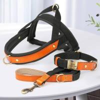Collar de Cuero de Nylon para Perros Correa de Captura de Mascotas sin Tirón para Perros Pequeños y Grandes Correa de Vestir de Mascotas - details 17