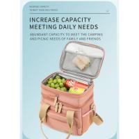 Bolsa de almuerzo de doble capa Bolsa de hielo portátil de gran capacidad Bolsa de almuerzo expandible portátil a prueba de fugas Bolsa de picnic - details 3