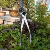 Cortauñas De Acero Inoxidable 18cm Herramientas De Jardinería Para Modelado De Paisajismo Y Bonsái Accesorios De Jardín - details 2
