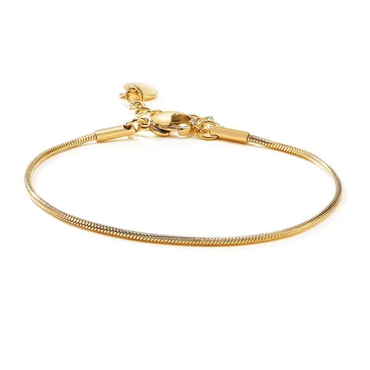 Pulsera de Cadena de Serpiente Ajustable de Acero Inoxidable Accesorio de Moda Imprescindible para Mujer Esencial en la Playa - 1