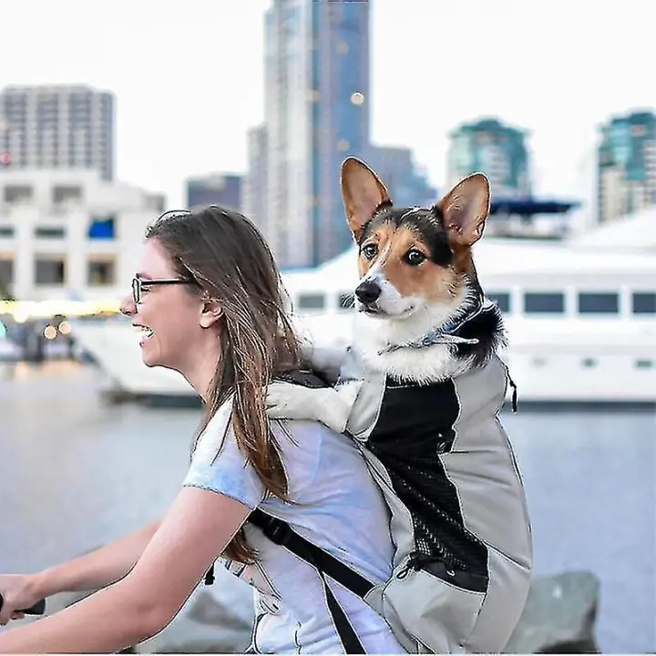 Mochila para mascotas, bolsa de transporte para perros transpirable para perros grandes, mochila para Bulldog, bolsas de viaje ajustables - 1