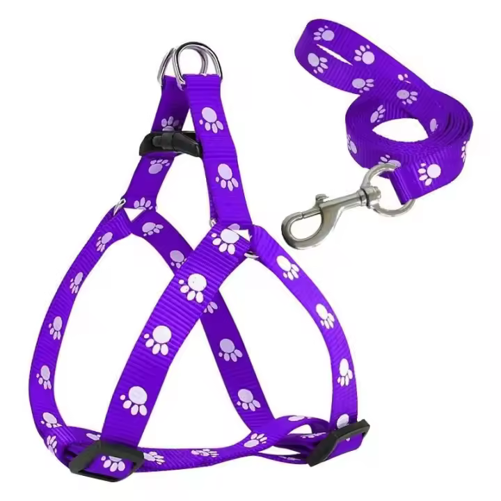 Correa perro pequeño, cachorros, conjunto correas arnés peluche, bonito juego cuerdas plomo, correa gato y gatito, decoración de - 1
