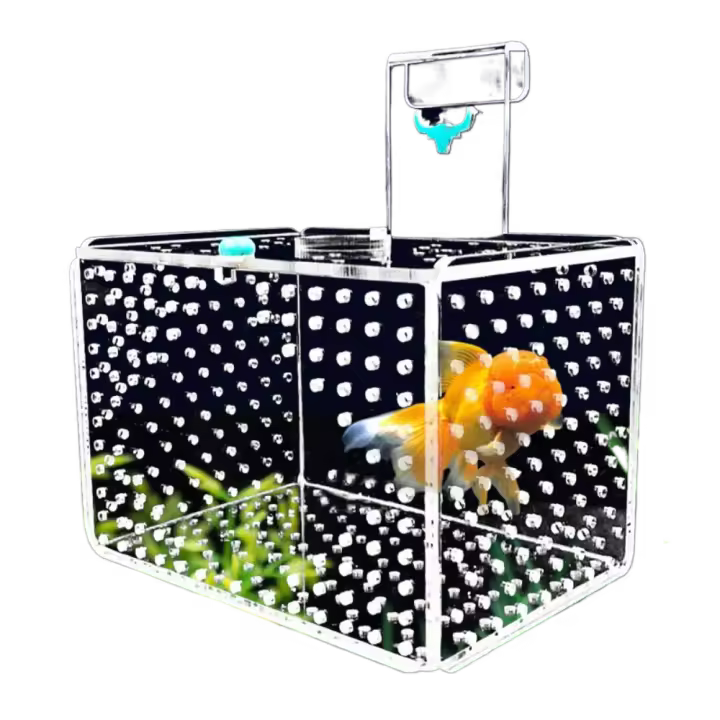 Caja de aislamiento acrílica para pecera, montaje en pared, caja de incubación de acuario de calibre de 3mm con cubierta, caja flotante para incubación para el hogar - 1