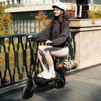 iScooter F2 Patinete Eléctrico Plegable para Adultos con Asiento 30KM/H 500W Tablas de Skate - details 20
