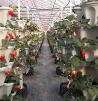Macetas de plástico para exteriores, macetas apilables para jardín, macetas verticales para flores, maceta para fresas - details 7