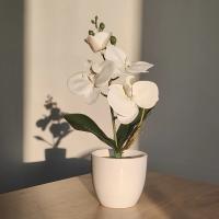 Árbol de Bonsái de Mariposa Símulada Planta Enmacelada Artificial para Hogar, Oficina, Mesas de Comedor Flores Artificiales y Plantas - details 4