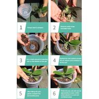 Maceta transparente de orquídeas de 10/12/15cm, macetas de orquídeas transpirables ranuradas de plástico, macetas para plantas, decoraciones de jardín y jardín - details 10