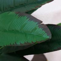 32 "vegetación tropical decoración del hogar grande planta falsa palma artificial árbol de plátano falso - details 8