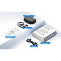 translation earbuds
