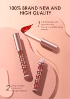 Juego de maquillaje de lápices labiales de 12 piezas, 6 líquidos mate + 6 delineadores, kit de brillo de labios resistente al agua de larga duración - details 1