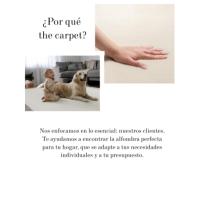 The Carpet