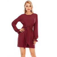 Europa, América Primavera y verano Moda Nueva ropa de mujer Tallas grandes Color sólido Manga larga Cordón Vestido casual Falda - details 2