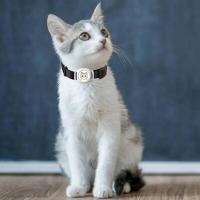 Localizador inteligente compatible con Bluetooth, seguimiento en tiempo real, collar para perros y dispositivo de búsqueda para perros, gatos, niños, mascotas. - details 0
