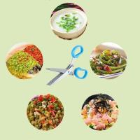 Tijeras multifuncionales de acero inoxidable para cocina, 1 piezas, cuchillo de Scallion, condimento Nori, tijeras de cocina - details 9