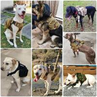 Bolsas tácticas para perros Molle, juego de cinturón, pegatina, entrenamiento militar, chaleco - details 7