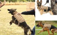 Chaleco Táctico Militar para Mascotas Correa de Entrenamiento al Aire Libre para Perros Medianos y Grandes Collar Incluido - details 2