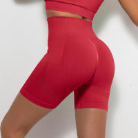 Hamidou-pantalones cortos de Yoga para mujer, mallas para gimnasio, pantalones cortos para correr, ciclismo - details 22